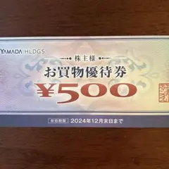 YAMADA買物優待券500円✖️1枚ヤマダデンキ株主優待