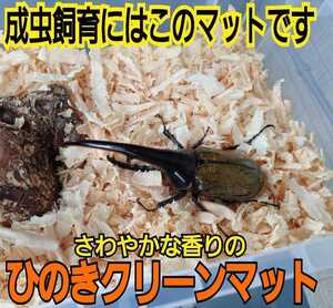 クワガタ、カブトの成虫管理はこれが一番です！爽やかな香りの針葉樹マット☆ケース内が明るくなり生体が目立ちます！ダニ・コバエ湧かない