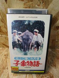 （希少・激レア・未DVD化）子象物語 [VHS] 武田鉄矢 (出演), 萩尾みどり (出演), 木下亮 (監督)