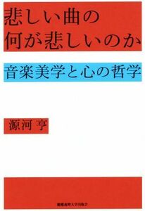 悲しい曲の何が悲しいのか 音楽美学と心の哲学/源河亨(著者)