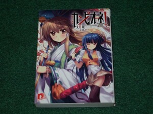 カンピオーネ! 13 南洋の姫神 丈月 城 スーパーダッシュ文庫 4086306972