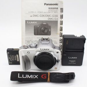 13345ショット！■美品■ PANASONIC DMC-G3 シェルホワイト