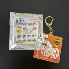 ソフトバンクホークス アクキー 柳町