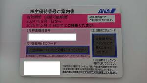 ANA 全日空 株主優待 有効期限2025年5月31日まで　即日対応