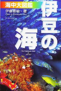 [A12319464]伊豆の海　海中大図鑑　第６版 伊藤勝敏