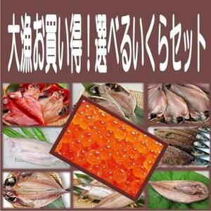 6《送料無料》いくら500g＋選べる干物３品セット 金目鯛 沼津産鯵 ホッケ カマス えぼ鯛 大サバ 対馬鯵 秋刀魚 平サバ 鰯より選択