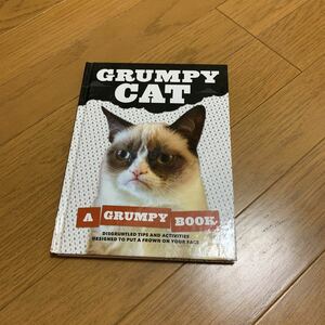 ★ crumpy cat★英語★洋書★猫★本★