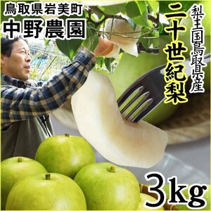 1円～☆二十世紀梨 鳥取県産【9月中旬～下旬に予約順に出荷】3kg箱(7-10玉入)訳あり20世紀なしナシ203