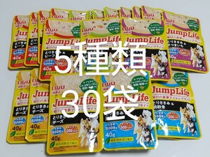 いなば JumpLifeパウチ40g 5種類30袋セット 毎日の食事にジャンプライフ 犬 グルコサミン ちゅーる 乳酸菌キトサン ドッグフード