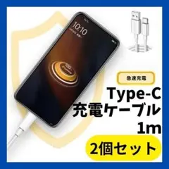 Type-c USBケーブル iPhone15 switch 高速充電 2個