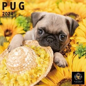 新品 パグ PICTWAN (ピクトワン) カレンダー DOG 【L版】 2024年カレンダー24CL-50021L