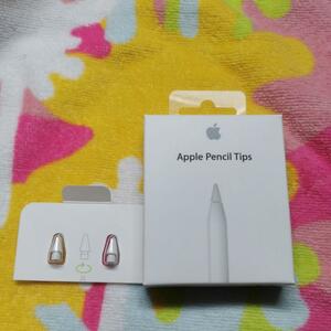 Apple Pencil tips　ペン先　純正　アップルペンシル　チップ　2つ 2個　バラ　匿名配送　