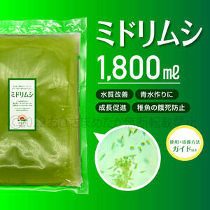 【ミドリムシ　種水　増量　1800ml】めだか　メダカ　針子　エサ 稚魚　psb　 金魚　ミジンコ　クロレラ　ゾウリムシ 培養におすすめ