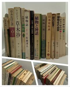 まとめて13 植物系書籍　北方植物園 植物名の由来 緑の証言 日本史年表 植物の旅 植物と神話 山草と高山植物 植物誌　草木おぼえ書 草木抄