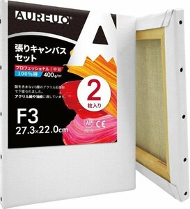 ※1円スタート【極美品】 AUREUO 張りキャンバス セット F3 (27.3cmx22.0cm) 中目 全麻 2枚