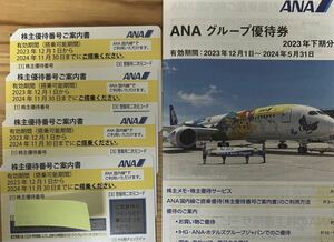 最新・[2024年11月30日迄]ANA株主優待券4枚+グループ優待券