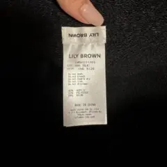 LILY BROWN バケハ