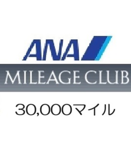 【即決 匿名】全日空ANA30,000マイル　希望の口座へ加算