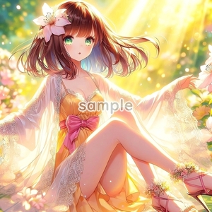 A3 350dpi 美少女ドレス 04 オリジナル絵イラスト著作権フリー画像素材 40P Girl dress 04 Original picture image material copyrightfree