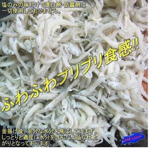 大量!! ふわふわプリプリ「釜揚げしらす2kg」地物『魚王国』山陰境港