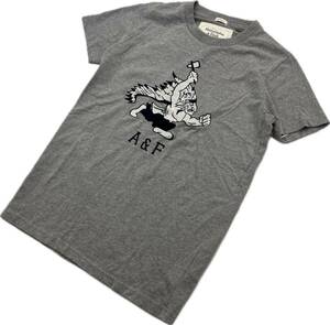 Abercrombie&Fitch ☆ インディアン 刺繍 Tシャツ 半袖 グレー S スタイリッシュ アメカジ ストリート アバクロンビー＆フィッチ■DB279