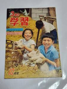 ６１　昭和35年10月号　３年の学習　センバ太郎　服部みちを　都築進