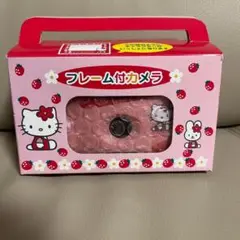 サンリオ Sanrio エイコー EIKOH レア Kitty デイジー カメラ