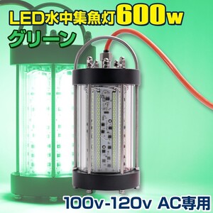 集魚灯 水中 ライト グリーン 100v AC専用 600w 水中集魚灯 トビウオ シラスウナギ イカ釣り アジ 漁船 LED ライト 船舶用品 フィッシング