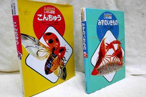 フレーベル社　ふしぎがわかる　しぜん図鑑　「こんちゅう」「みずのいきもの」２冊まとめて　昆虫　魚　蛙　亀　自由研究　自然観察にぜひ