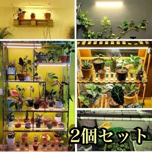 2個セット 植物育成ライト LED育成ライト 1セット4本 植物ライト