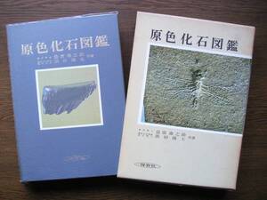 ◆　原色化石図鑑　保育社、刊　益富壽之助、浜田隆士、著　昭和59年　14刷　　“ゆうパック”６０センチ限定