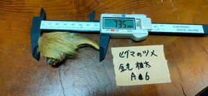 ●熊の爪●ヒグマの爪（極太金毛A6） 羆 ひぐま ベアークロー 熊 クマの手 熊の手くま クマ 熊の手 クムンカムイ 魔除け アクセサリー