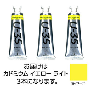 ターナー色彩 U35 カドミウムイエローライト60ml 3個 TURNER108710 /l