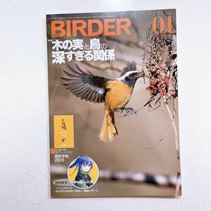 BIRDER 2023年 01 月号 「木の実と鳥の深すぎる関係」【22】