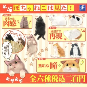 ガチャガチャ　ぽちゃねこは見た！　猫　ネコ　フィギュア　全６種セット