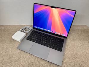 Apple MacBook Pro 14(2021, A2442) M1 Max / RAM 64GB / SSD 1TB / スペースグレー / 充放電回数 : 90 [MC075]