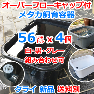 メダカ飼育容器【56㍑ 白黒灰選択可 4個 オーバーフローキャップ付】送料別 金魚飼育ケース 睡蓮 ビオトープ 台風豪雨対策 【五色アクア】