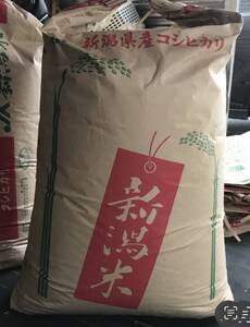 おいしぃ〜令和 ６年新潟産 コシヒカリ 24 Kg