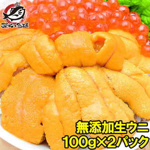 うに 冷凍生うに 無添加 100g×2パック 最高級Ａグレード