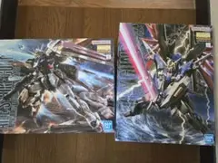 MGデスティニーガンダム　+　エールストライクVer.RM