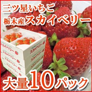 【Good】たっぷり10パック入り！大量5箱セット！プレミアムいちご 栃木産『スカイベリー』ご予約