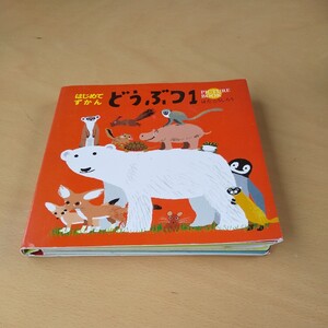 どうぶつ　ＰＩＣＴＵＲＥ　ＢＯＯＫ　１ （はじめてずかん） はたこうしろう／作・絵