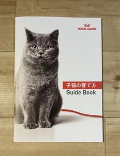 ROYAL CANIN 子猫の育て方　冊子　¥500クーポン付