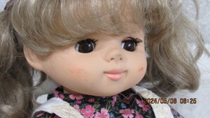 スリープアイ アンティークドール oike オオイケ コレクションドール 西洋人形 女の子 全長約35cm　タグ付き　中古美形