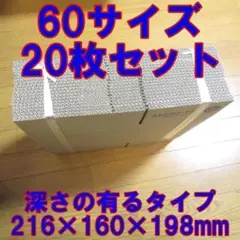 60サイズ　ダンボール　20枚セット 約　横216×縦160×高さ198mm