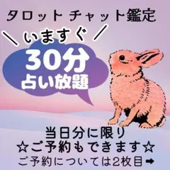 チャットで30分占い放題♡タロット占い/リーディング/鑑定