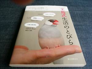 文鳥式生活のとびら 飼い方 飼育方法 育て方 