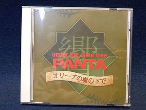 【CD】◆PANTA～響「オリーブの樹の下で」◆帯・解説付き/頭脳警察/パンタ/菊池琢己/重信房子/重信メイ/ライラのバラード◆