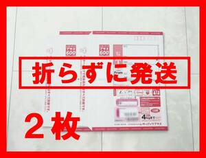 ■■送料無料■■レターパックプラス 600円■２枚セット■半分に折らずに発送■防水対策■赤■①