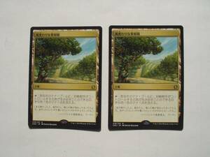 バイン　MTG 風変わりな果樹園/Exotic Orchard 日本語2枚